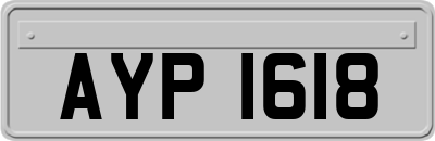 AYP1618