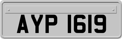 AYP1619