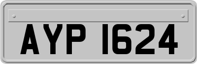 AYP1624
