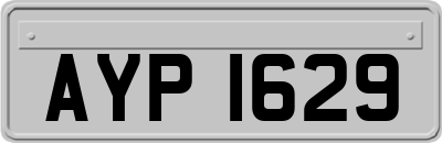 AYP1629