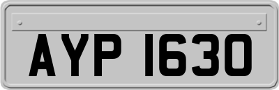 AYP1630