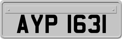 AYP1631