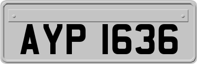 AYP1636