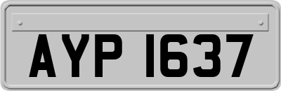 AYP1637