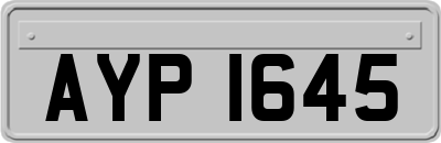 AYP1645