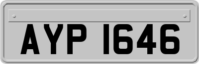 AYP1646