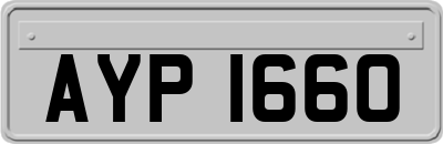 AYP1660