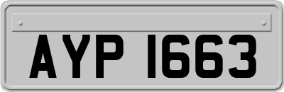AYP1663