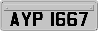 AYP1667