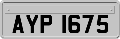 AYP1675
