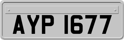 AYP1677
