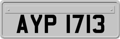 AYP1713