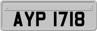 AYP1718