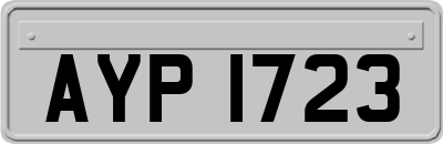 AYP1723