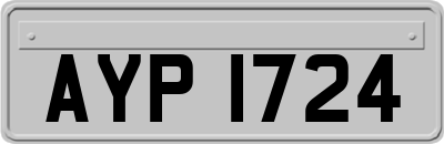 AYP1724