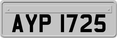 AYP1725