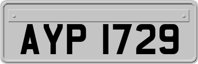 AYP1729
