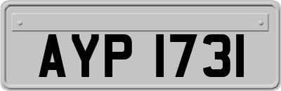 AYP1731