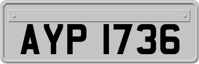 AYP1736