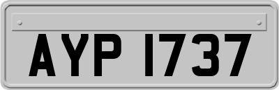AYP1737