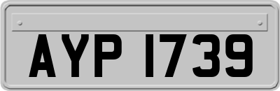 AYP1739