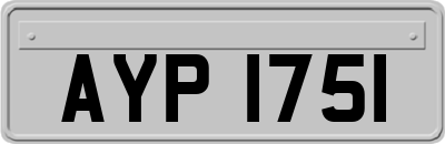 AYP1751