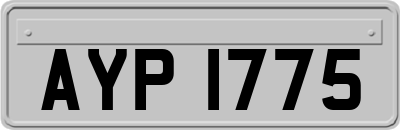 AYP1775