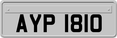 AYP1810