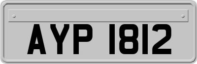 AYP1812