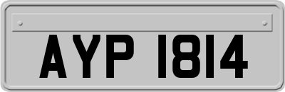 AYP1814