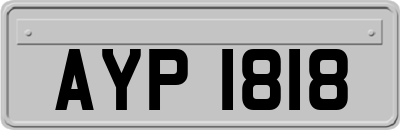 AYP1818