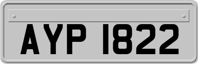AYP1822