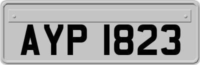AYP1823
