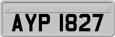 AYP1827