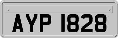 AYP1828