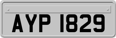 AYP1829