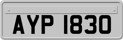 AYP1830