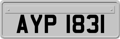 AYP1831