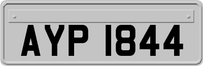 AYP1844
