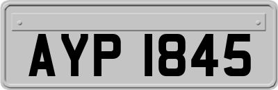 AYP1845