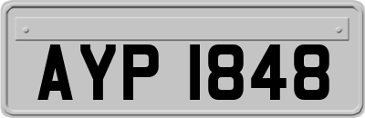 AYP1848