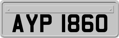 AYP1860