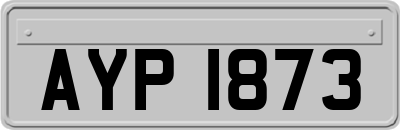 AYP1873