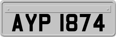 AYP1874