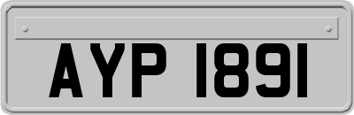 AYP1891