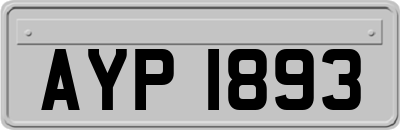 AYP1893