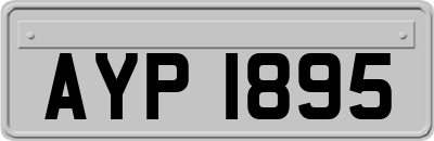 AYP1895