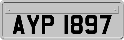 AYP1897