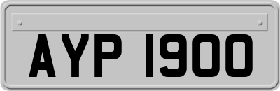 AYP1900