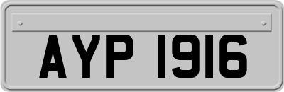 AYP1916
